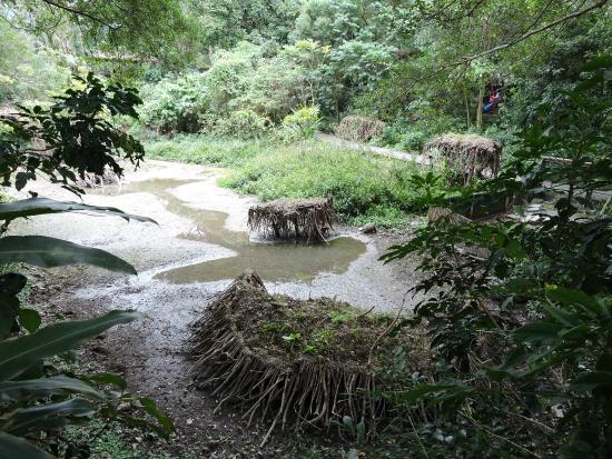 芝山文化生態緑園